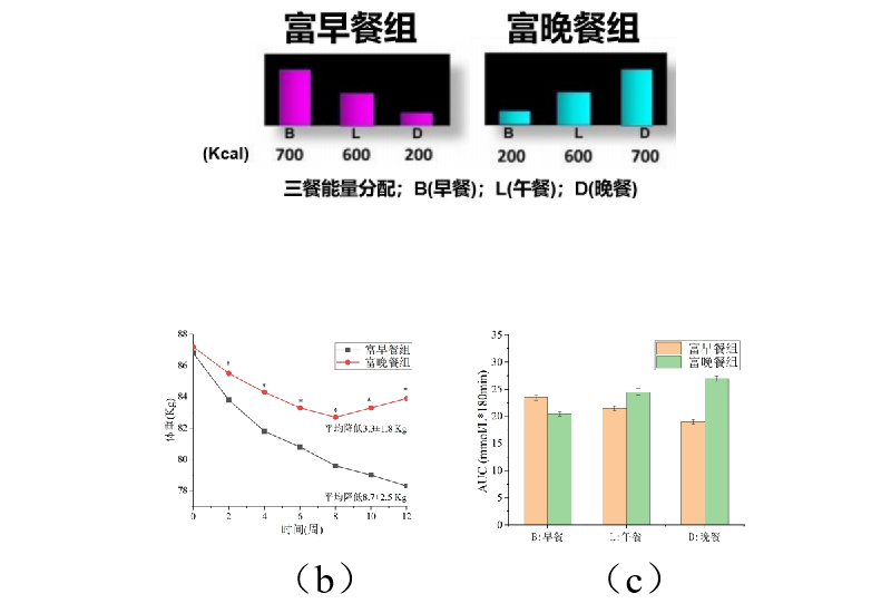 5 (1).png